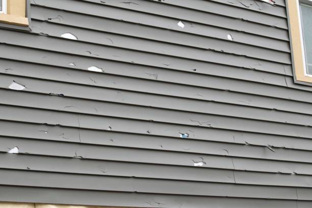 Best Steel Siding Installation  in Lehigh Acres, FL