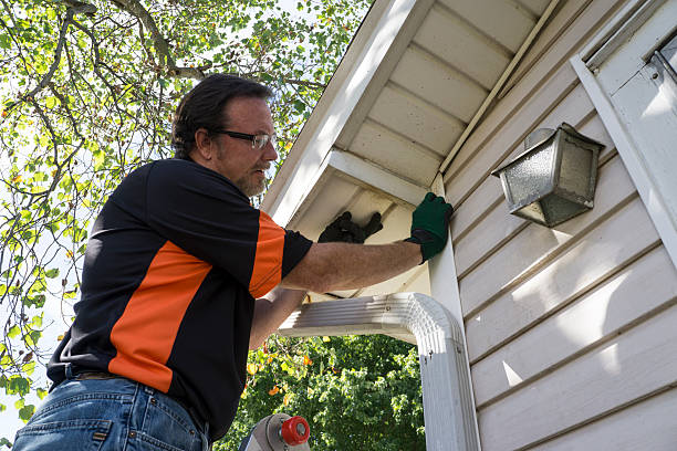 Best Stone Veneer Siding  in Lehigh Acres, FL